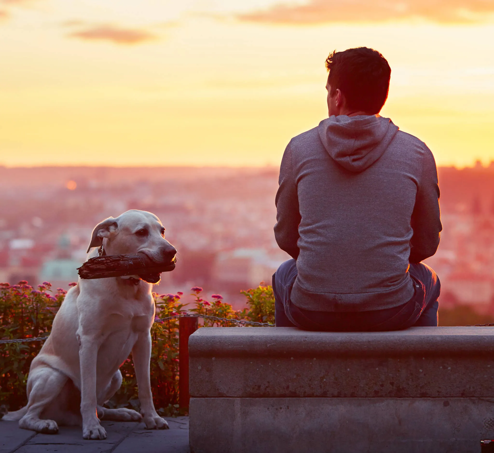 Man with dog at sunrise